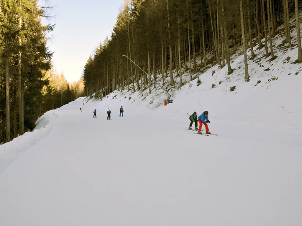 Waldpiste im Gegenlicht mit mehreren Skifahrenden.